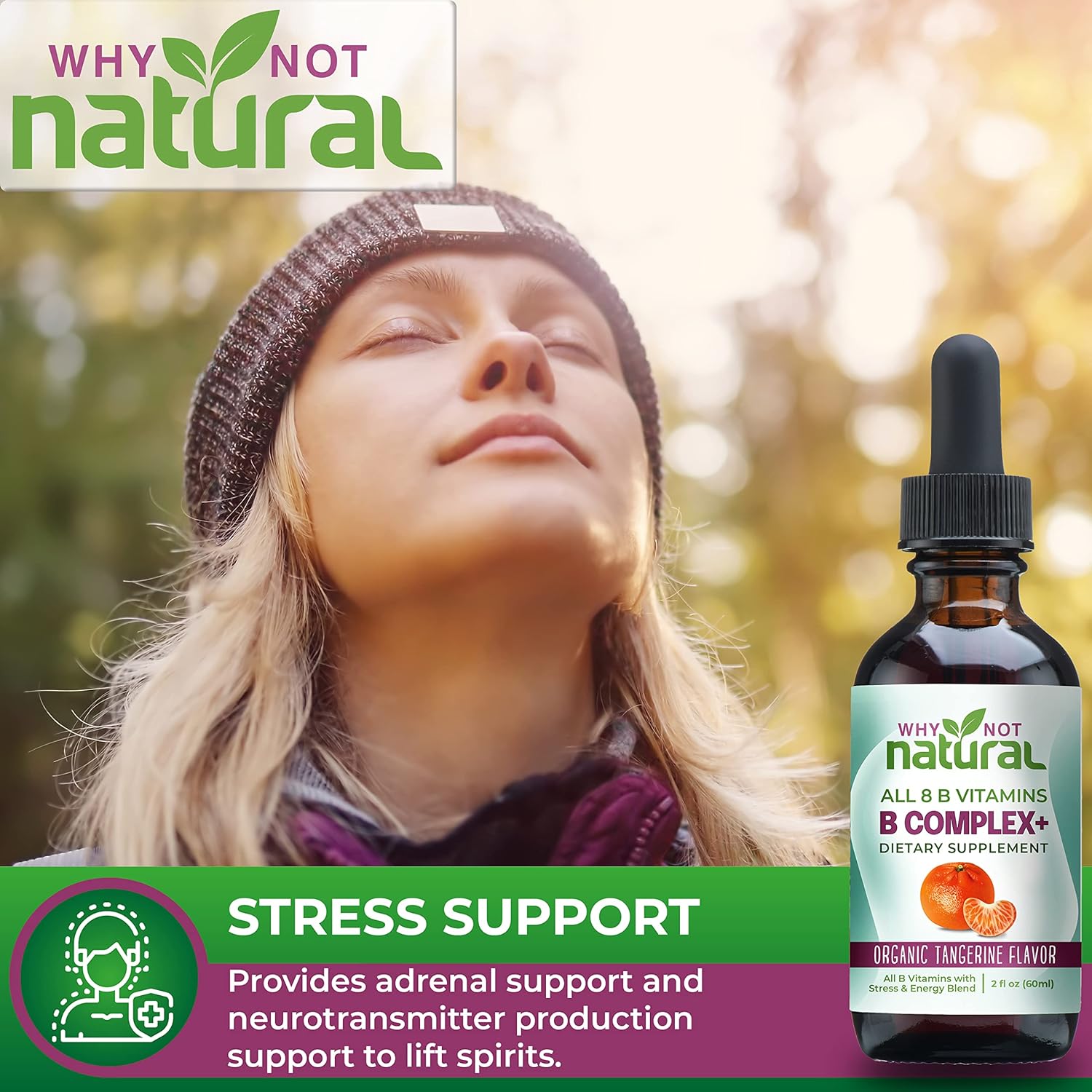 Why Not Natural Vitamin B Complex Liquid Drops - Organic Supplement for Women - Vegan and Sublingual Forms of B1 B2 B3 B5 B6 Biotin Folate and Choline - Plus Blend for Stress and Energy : Health & Household