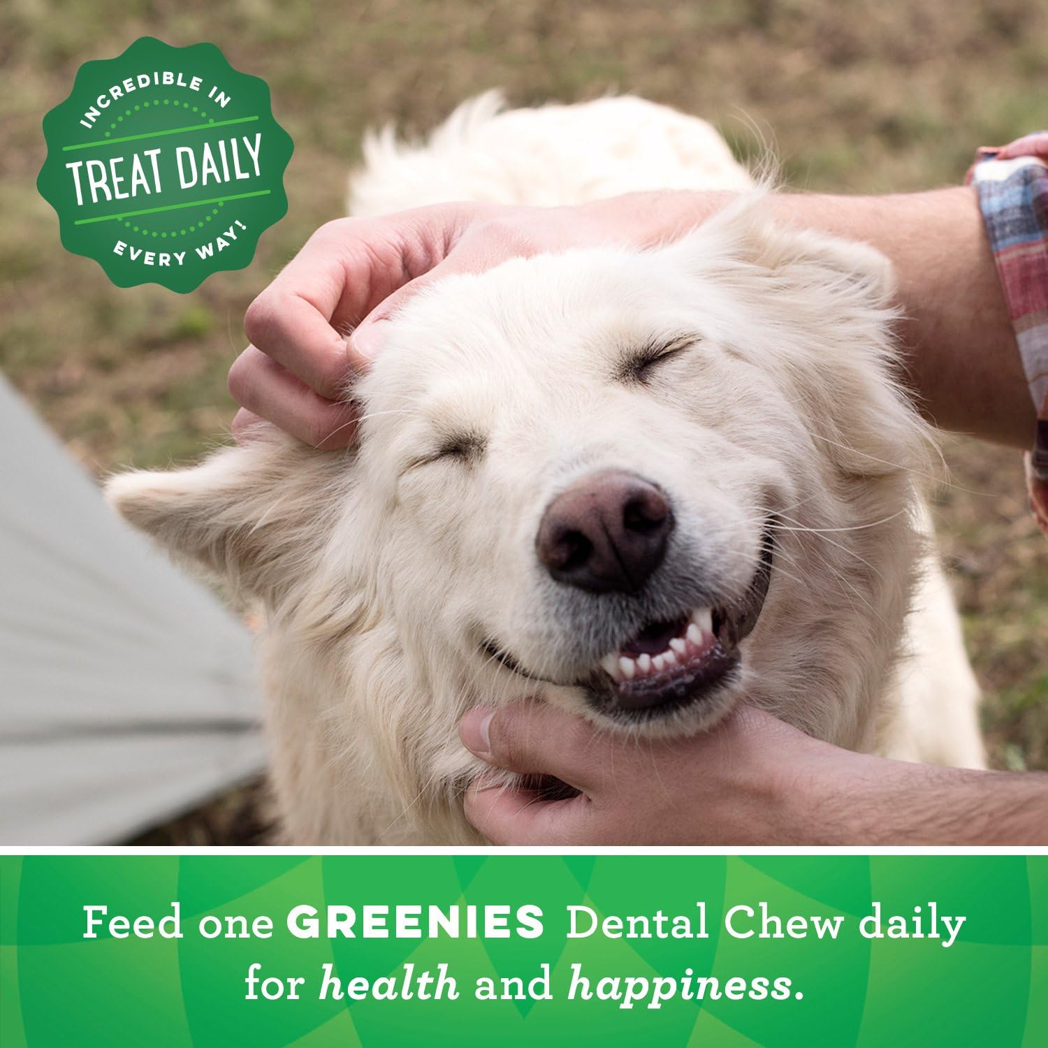 Greenies Original Petite Natural Dental Care Dog Treats, 72 oz. Pack (120 Treats) : Pet Supplies