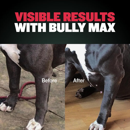 Bully Max 3-In-1 Liquid Dog Muscle Builder Supplement For Puppy And Adults Dogs - Dog Vitamins For Small & Large Breeds - Vet-Approved Canine Dog Supplement For Muscle Gain & Energy