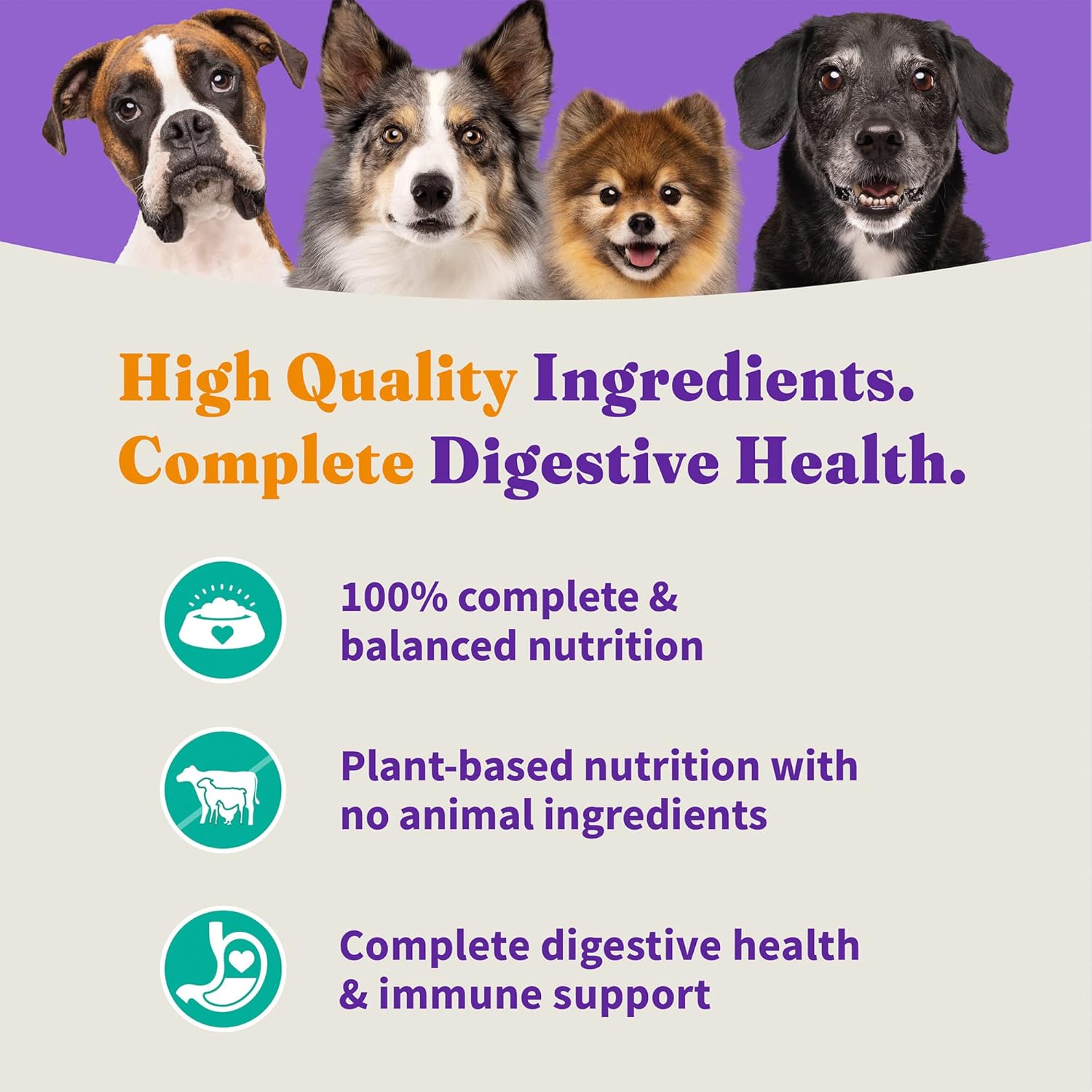 Halo Holistic Plant-Based Recipe with Kelp, Complete Digestive Health, Vegan Dry Dog Food Bag, Adult Formula, 21-lb Bag : Pet Supplies