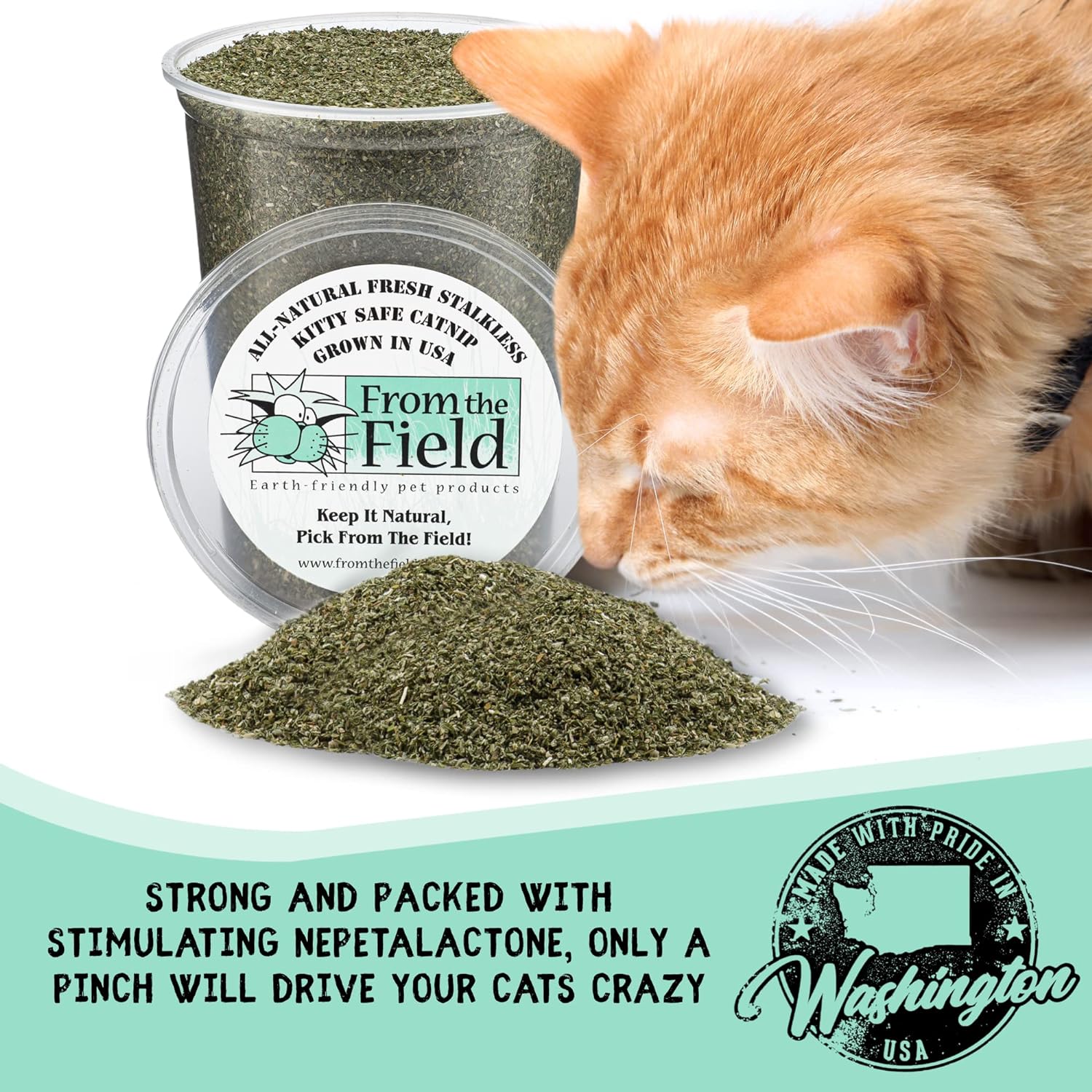 From the Field Catnip for Cats – All Natural Cat Nip, Finely Ground without Stalks or Stems, Resealable – Fresh, Potent and Grown in the USA Promotes Cat Exercise, Play and Engagement [Size Variation] : Pet Supplies