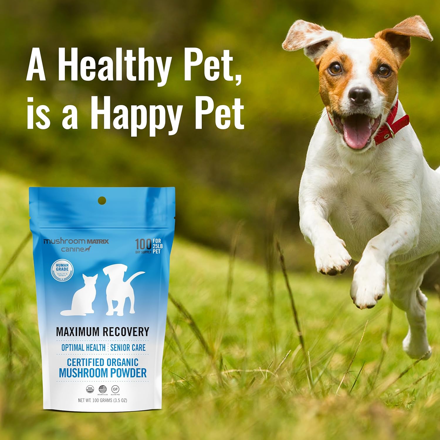 Om Mushroom Matrix Pet - Canine | Maximum Recovery | Usa Grown Human-Grade Organic Mushroom Powder Pet Supplement | Optimal Health & Senior Care For Dogs & Cats | 100 Grams, 3.5 Oz : Pet Supplies