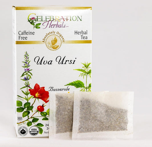 Celebration Herbals Uva Ursi Tea Organic 24 Bag, 0.02 Pound