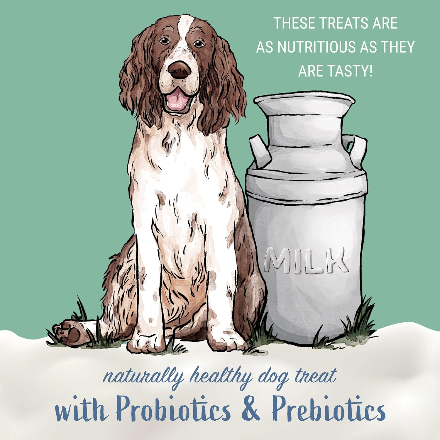 Yogurt Sticks | Prebiotic & Probiotics | Protein Rich - Lactose Free - Gluten Free - Corn Free - Grain Free | USA Made | for All Breeds | 5 pieces of Droolicious Yogurt Sticks | Yogurt Flavor : Pet Supplies