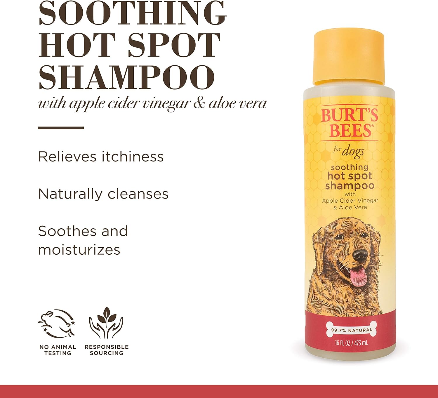 Burt's Bees for Pets Natural Hot Spot Shampoo with Apple Cider Vinegar & Aloe Vera | Soothing & Relieving Hot Spot Remedy for Dog | Cruelty Free, Sulfate & Paraben Free, pH Balanced for Dogs | 16 Oz : Pet Shampoos : Pet Supplies