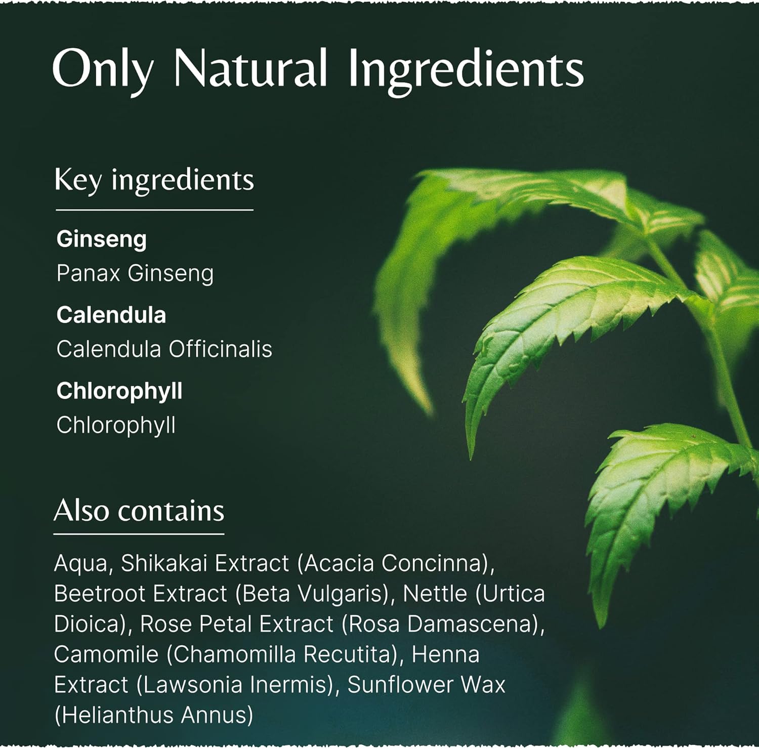 Mistry'S Ginseng Herbal Conditioner 200Ml - Hair Care Scalp Scrub Conditioner, Gentle - Suitable For All Ages And Hair Types, Additive Free, Vegan