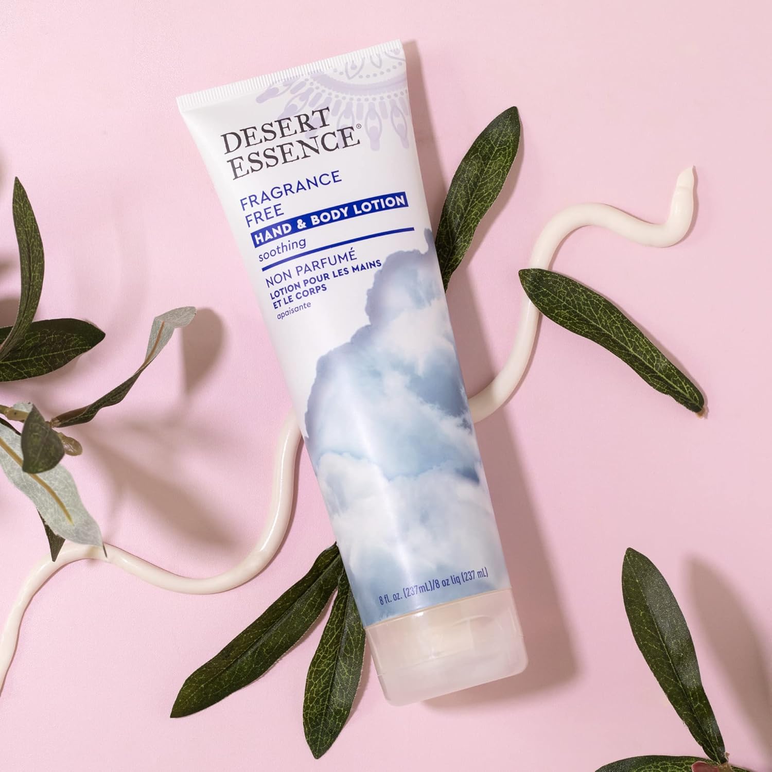 Desert Essence Fragrance Free Hand & Body Lotion - 8 Fl Ounce - Soothing - Aloe Vera - Shea Butter - Green Tea - Coconut Oil - Jojoba Oil : Health & Household