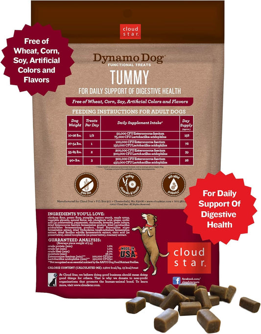 Cloud Star Dynamo Dog Tummy Treats – Soft & Chewy Probiotics Support for Dogs (14 oz. Pumpkin and Ginger) (20212)