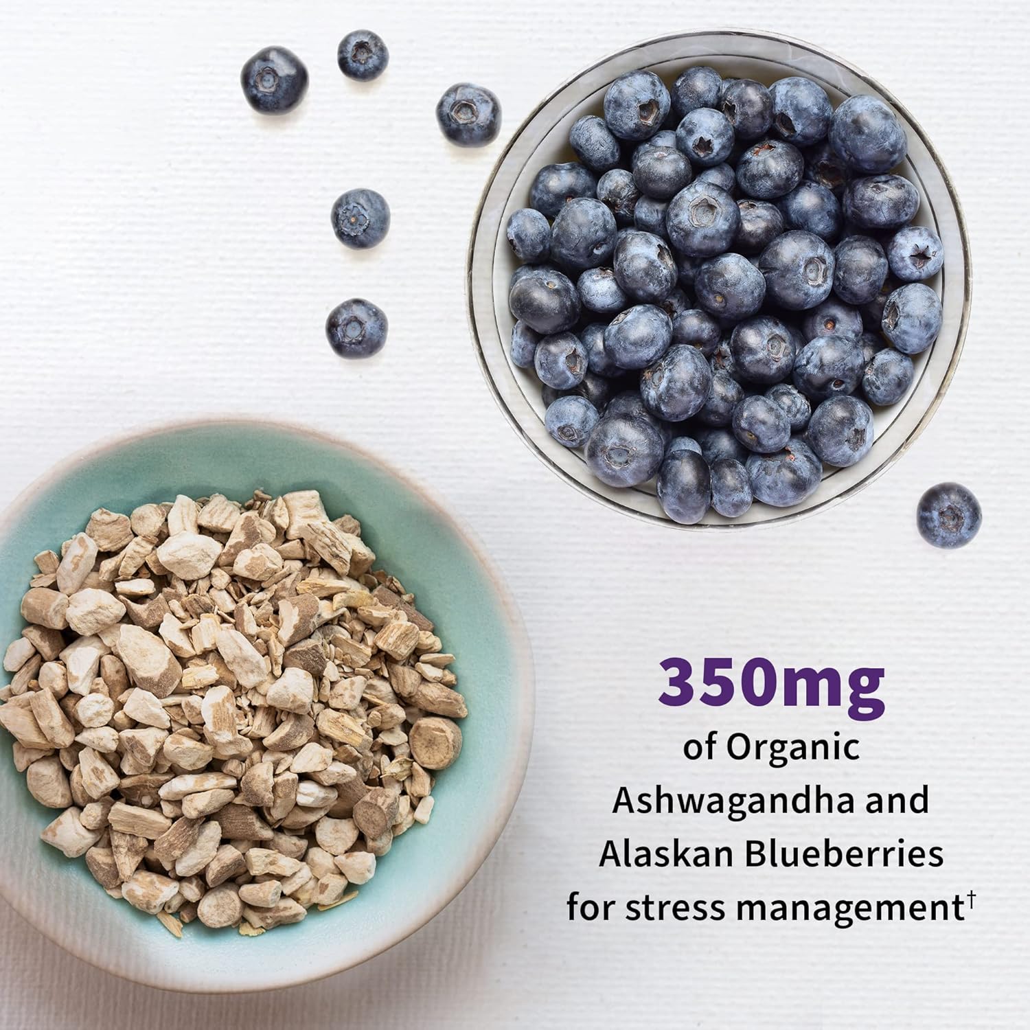 Garden Of Life Probiotics Mood+ Dr Formulated Acidophilus Probiotic Supplement - Promotes Emotional Well-Being, Relaxation And Digestive Balance - Ashwagandha For Stress Management, 60 Veggie Caps : Health & Household