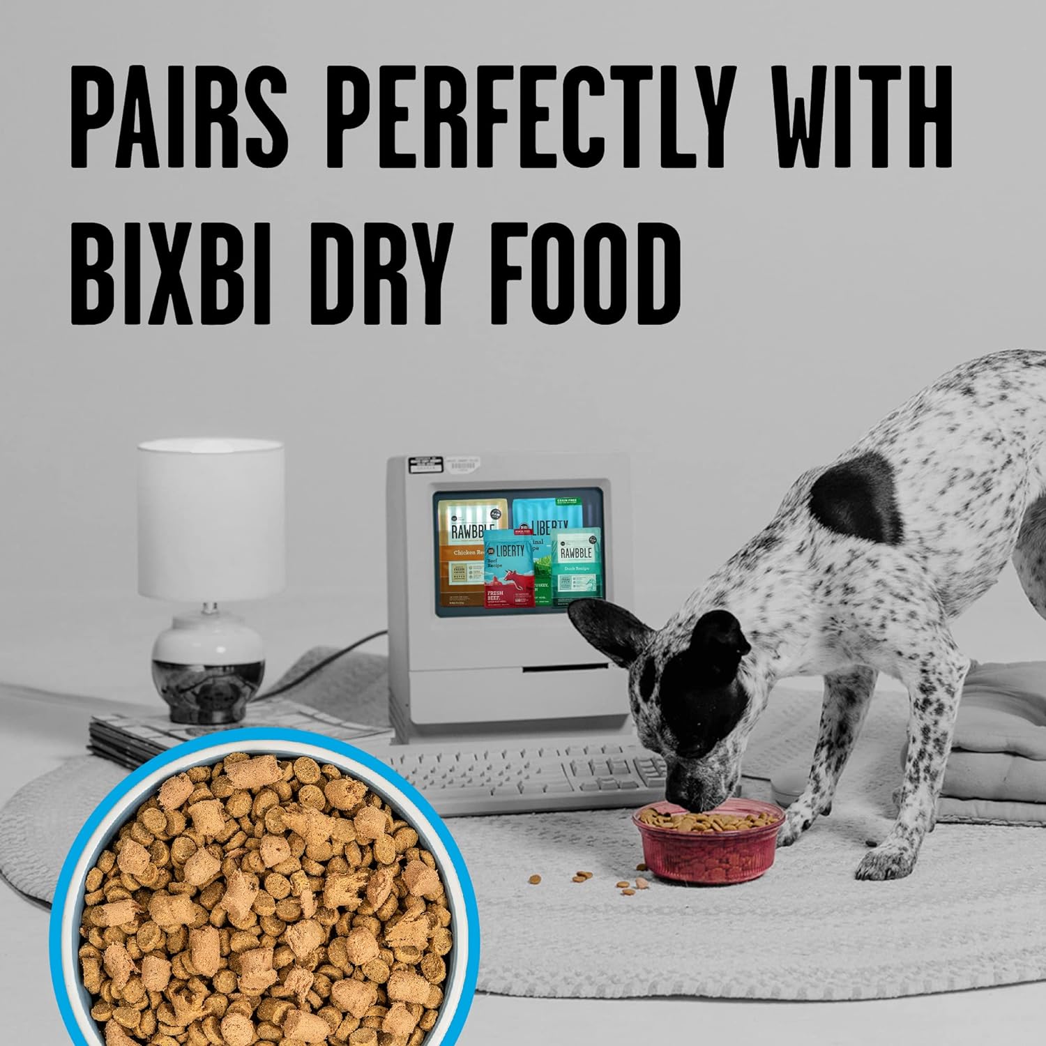 BIXBI Rawbble Freeze Dried Dog Food, Chicken & Salmon Recipe, 12 oz - 94% Meat and Organs, No Fillers - Pantry-Friendly Raw Dog Food for Meal, Treat or Food Topper - USA Made in Small Batches : Pet Supplies
