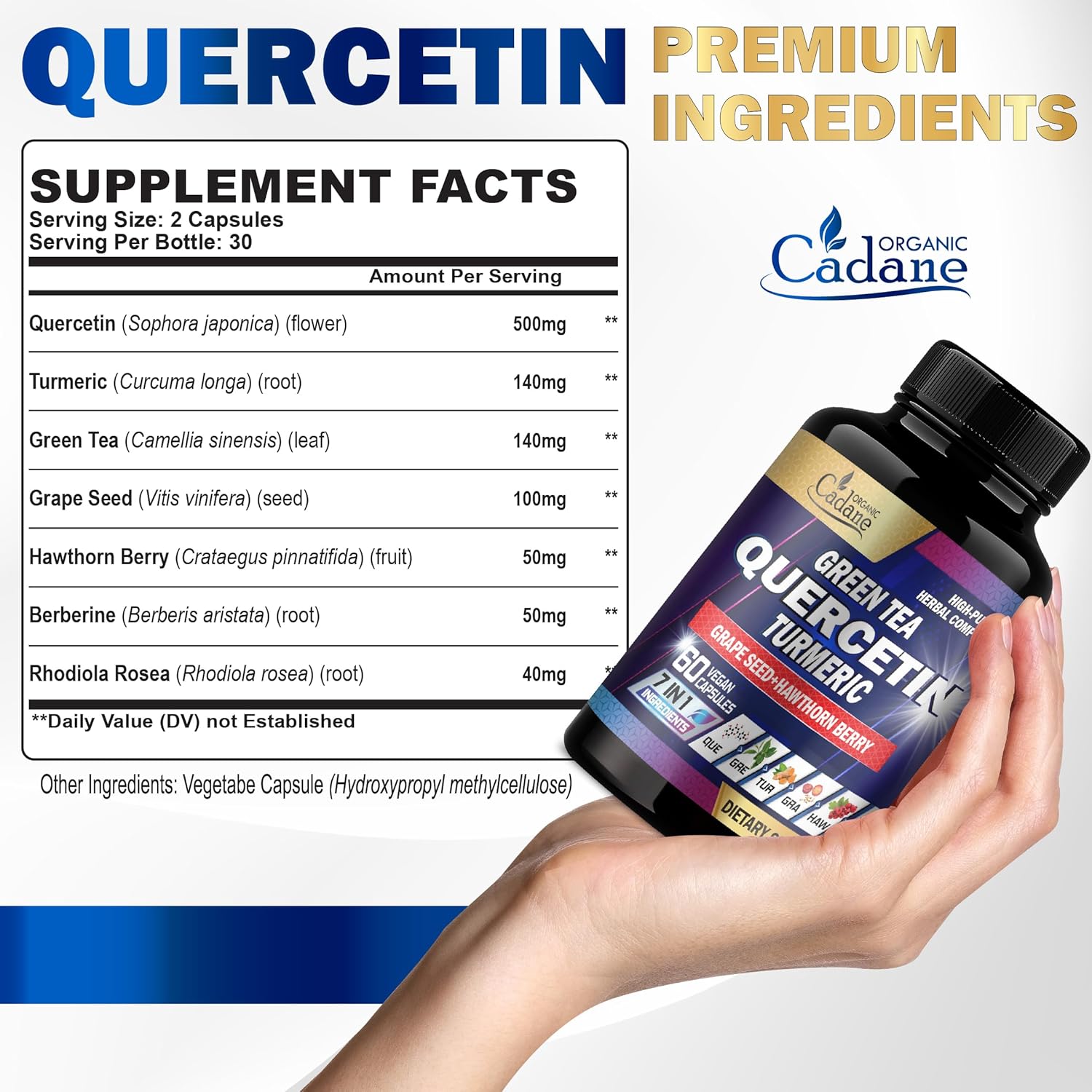 Organic Cadane Quercetin Supplements -7 Ingredients Extract With Green Tea, Grape Seed, Turmeric & More - 60 Capsules : Health & Household