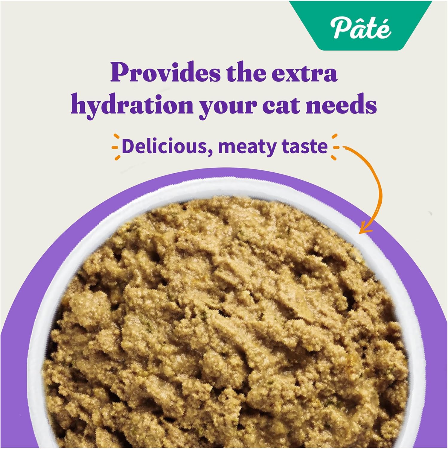 Halo Adult Grain Free Wet Cat Food Pate, Turkey Recipe, Healthy Cat Food with Real, Whole Turkey , 5.5 oz Can (Pack of 12) : Pet Supplies