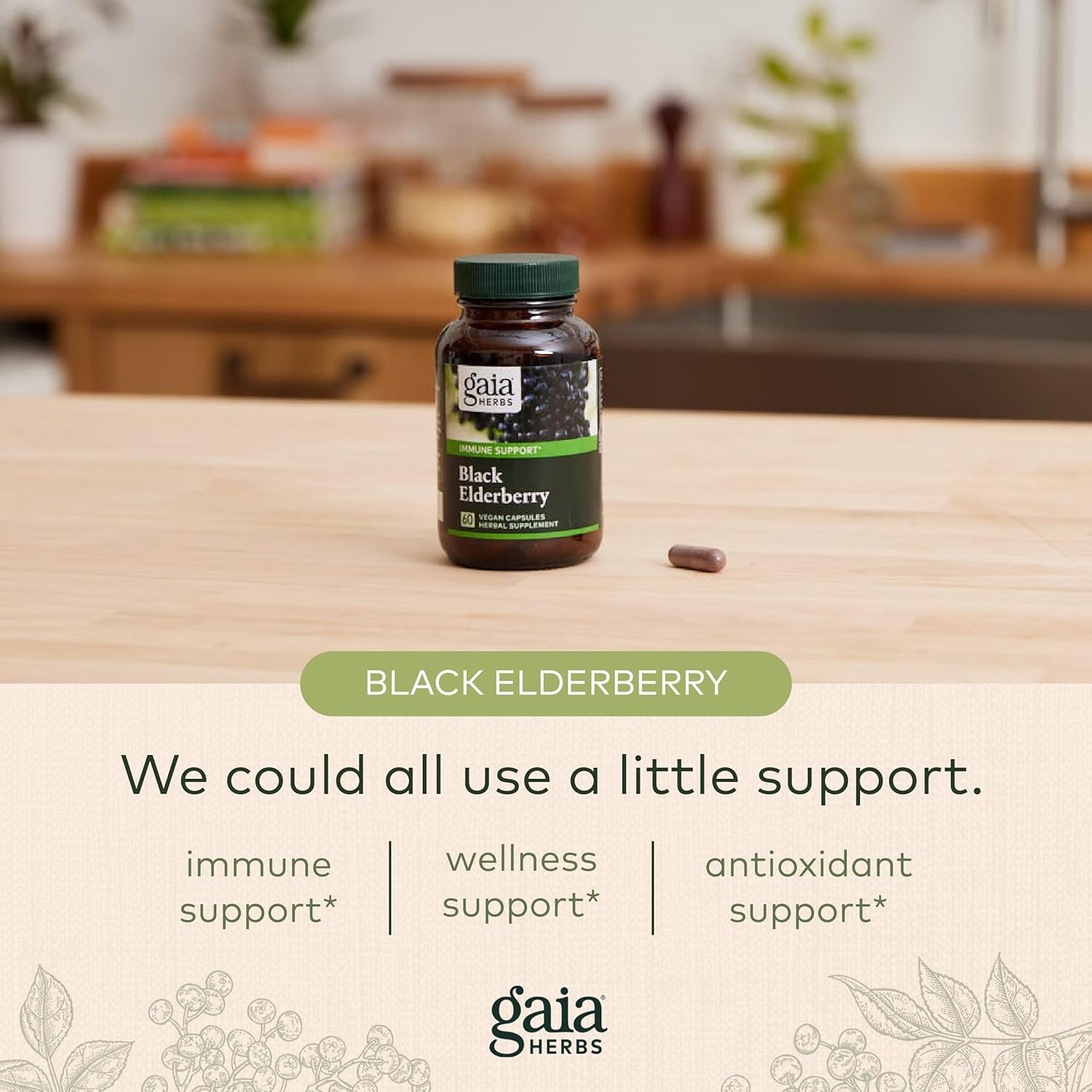 Gaia Herbs Black Elderberry - Daily Immune Support Supplement to Help Maintain Well-Being - with Black Elderberries and Acerola Fruit for Antioxidant Support - 60 Vegan Capsules (30-Day Supply) : Health & Household