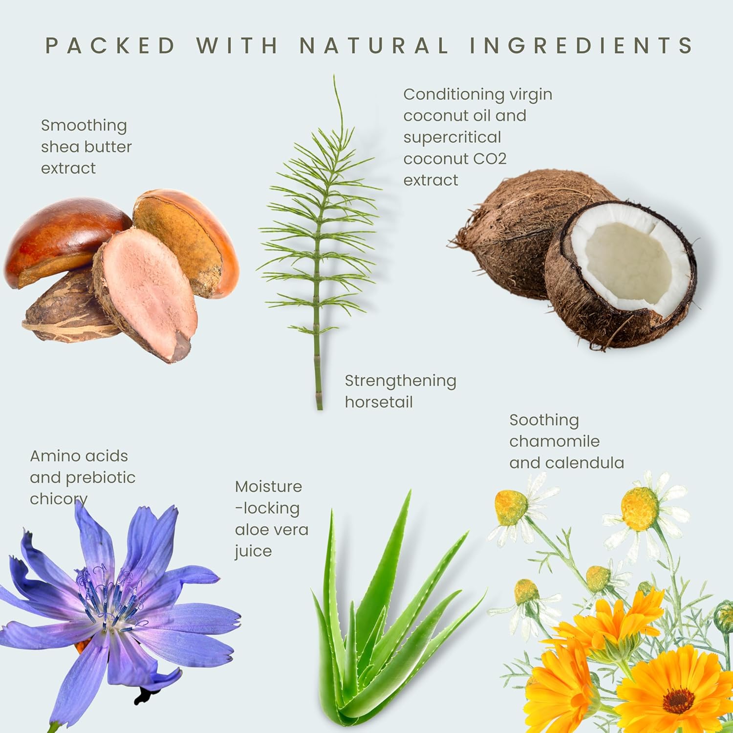 Odylique Natural & Organic Prebiotic Chamomile, & Coconut Conditioner 200Ml | Vegan & 100% Natural | Silicone Free Conditioner & Sulphate Free |