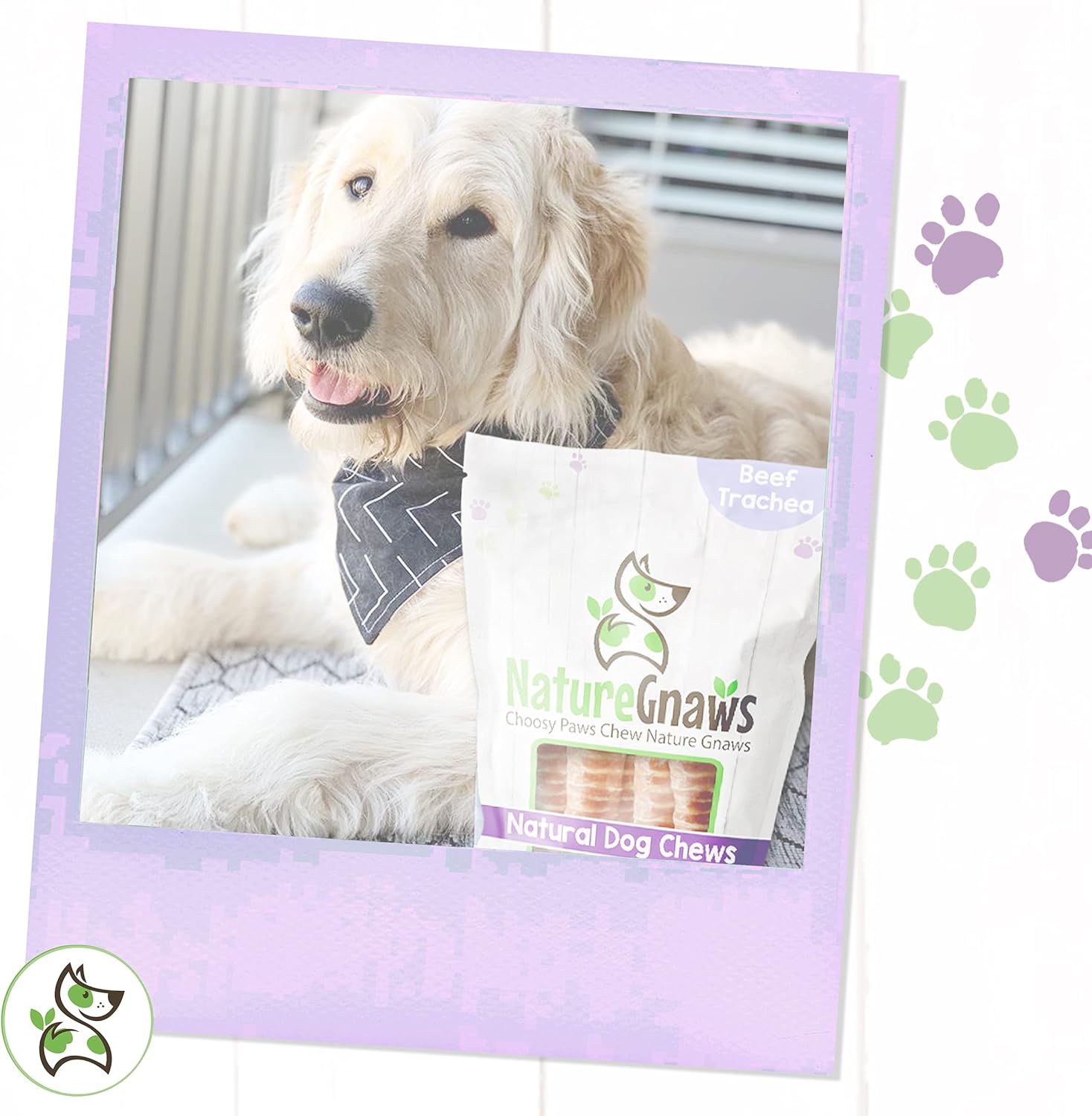 Nature Gnaws Beef Trachea Crunch Wraps for Dogs (3 Count) - Long Lasting Natural Beef Jerky Dog Chew Bones - Rawhide Free : Pet Supplies