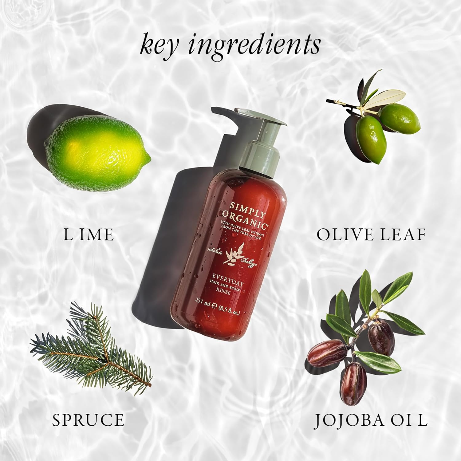 Made in Italy, All Natural Cruelty Free Hair Care for Women & Men, Hair & Scalp Rinse Daily Conditioner, Organic Olive Oil, Jojoba Oil, Spruce Tree Extract, PUMP NOT INCLUDED, 251ml/8.5floz, EVERYDAY : Beauty & Personal Care