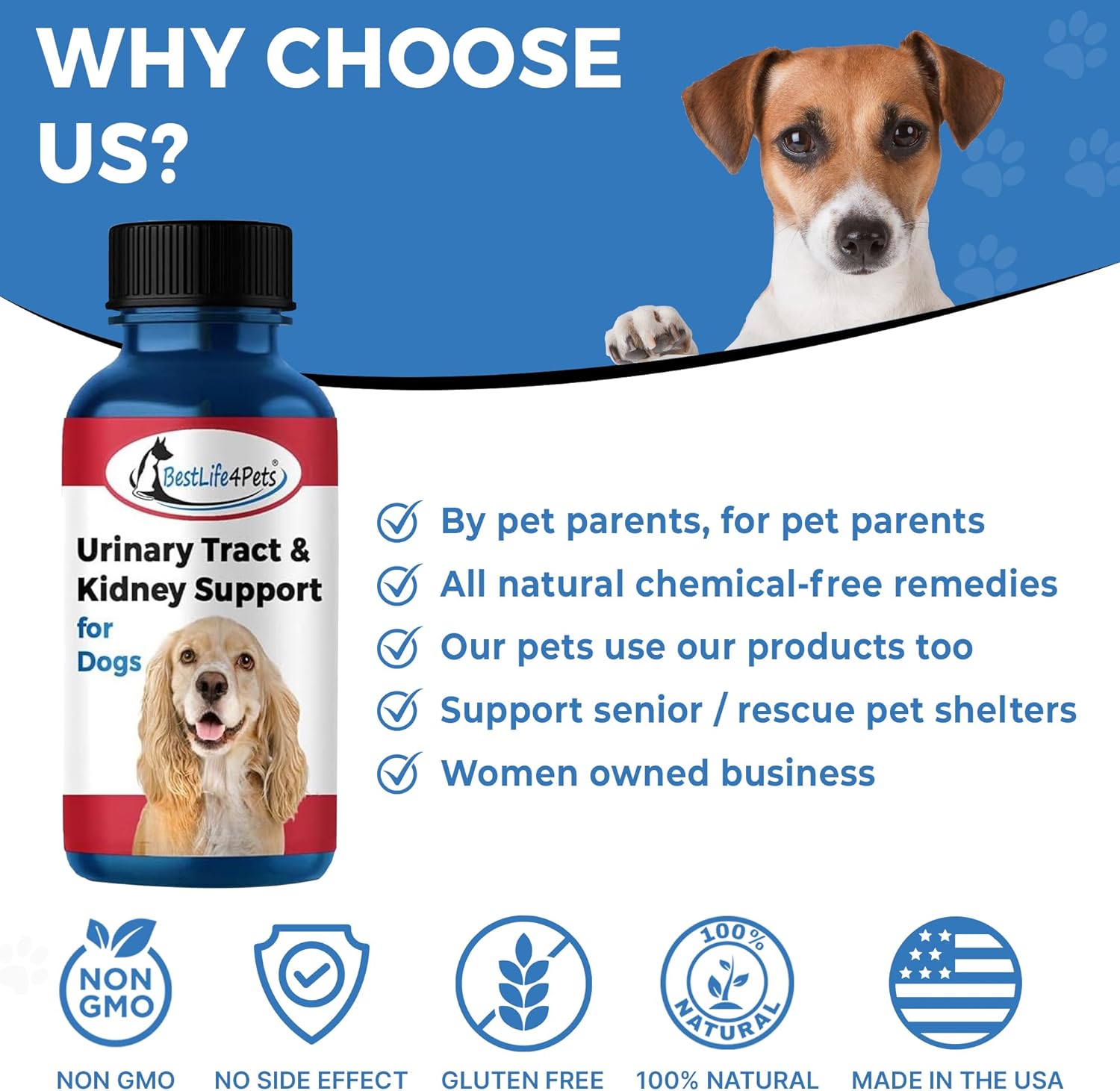 BestLife4Pets Dog UTI Kidney Support - Natural Urinary Tract Infection Treatment – Renal and Bladder Control Supplement – Easy to Use Pills