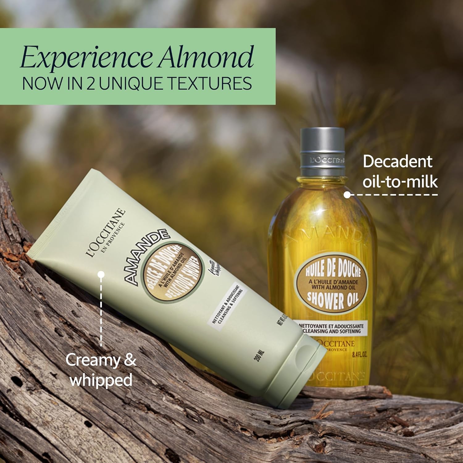 L'Occitane Almond Delicious Shower 4.50 Oz : Beauty & Personal Care