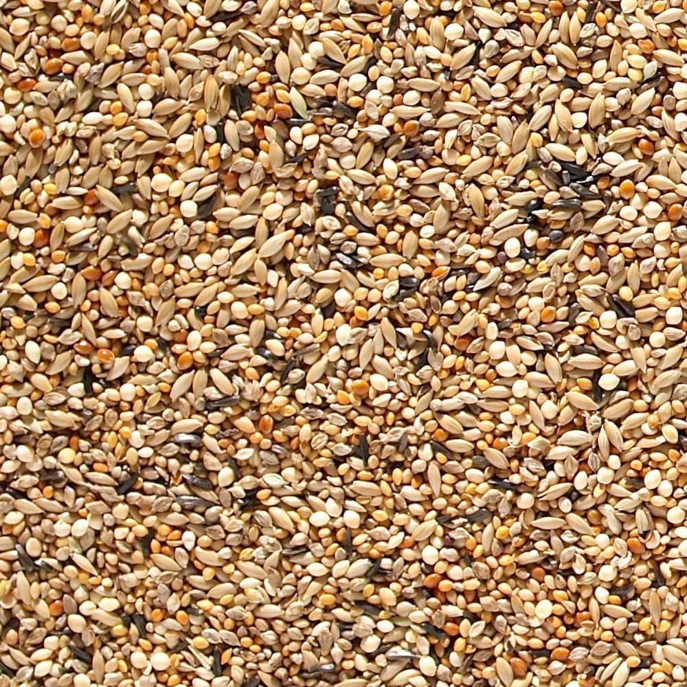 Johnston & Jeff ABZ Seed For Finches, 20 kg :Garden