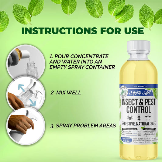 Mighty Mint Insect & Pest Control Peppermint Concentrate 8 Oz - Makes 1 Gallon - Plant-Based Formula Kills And Prevents Spiders, Ants, Flying Insects, And More