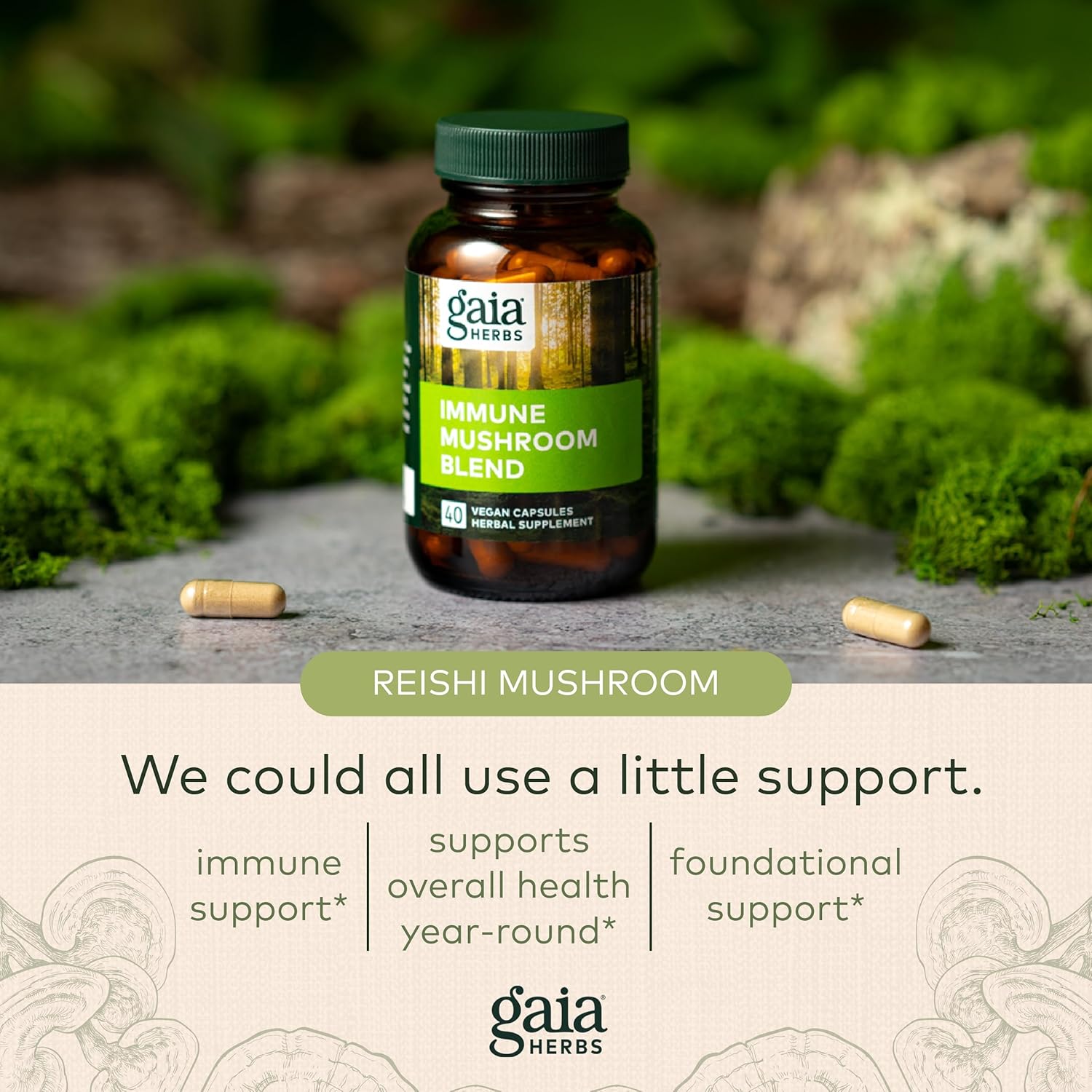 Gaia Herbs Immune Mushroom Blend - Immune Support Mushroom Supplement for Year-Round Health* - with Reishi, Cordyceps, Turkey Tail, Shiitake, and Chaga Mushrooms - 40 Vegan Capsules (40-Day Supply) : Health & Household