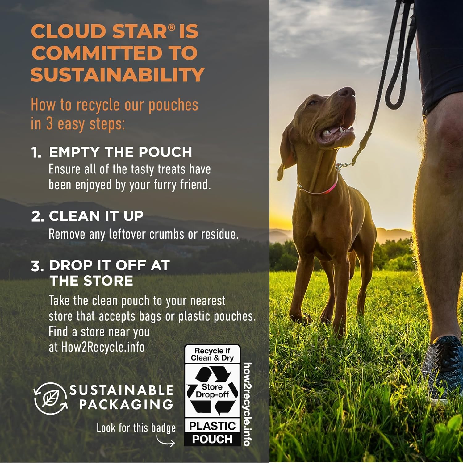 Cloud Star Tricky Trainers Soft & Chewy Dog Training Treats 12 oz Pouch, Peanut Butter Flavor, Grain-Free Low Calorie Behavior Aid with 310 treats