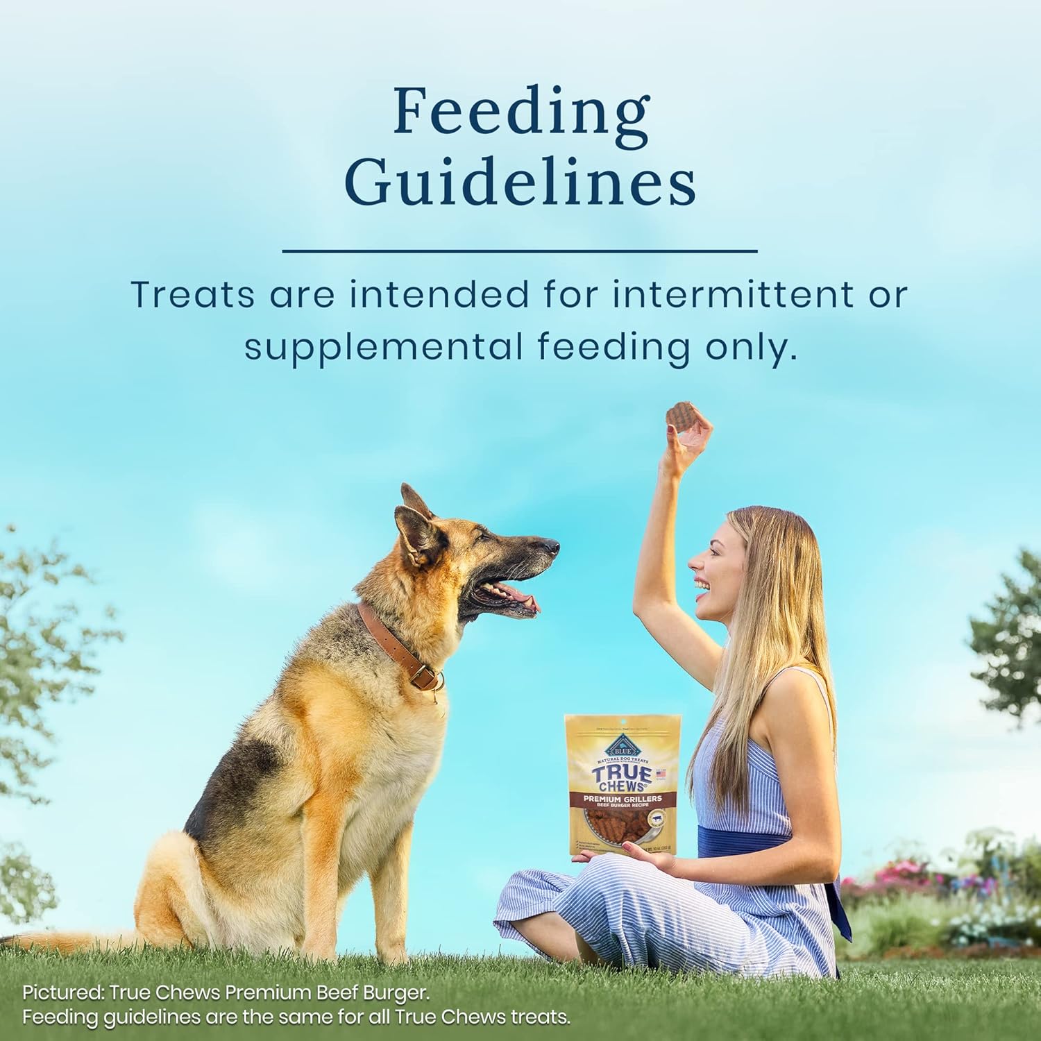 Blue Buffalo True Chews Premium Grillers Natural Dog Treats, Steak 20 oz Bag : Pet Supplies