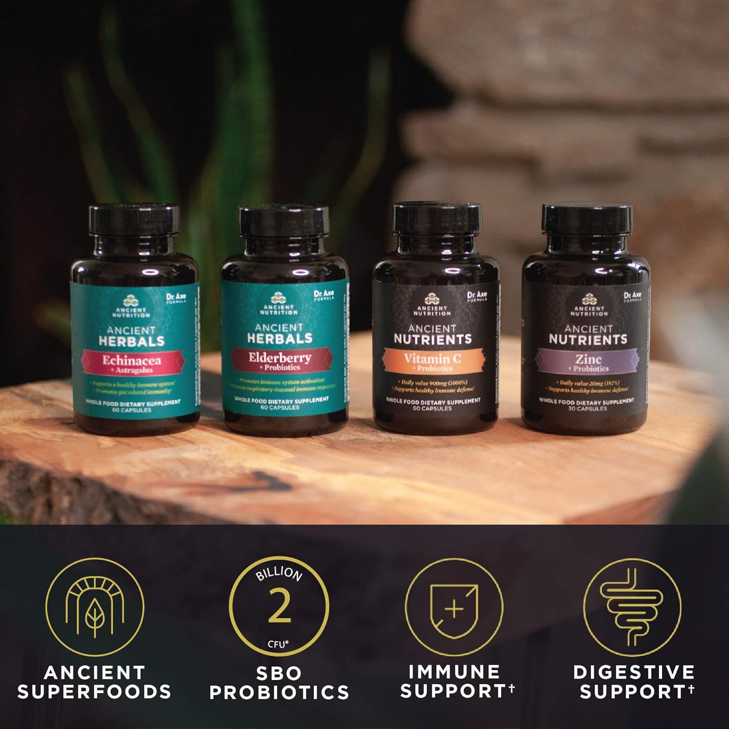 Elderberry and Probiotics Supplement by Ancient Nutrition, Ancient Herbals Black Elderberry Capsules, Immune System Support, Whole Food Supplement, Gluten Free, Paleo and Keto Friendly, 60 Capsules : Health & Household