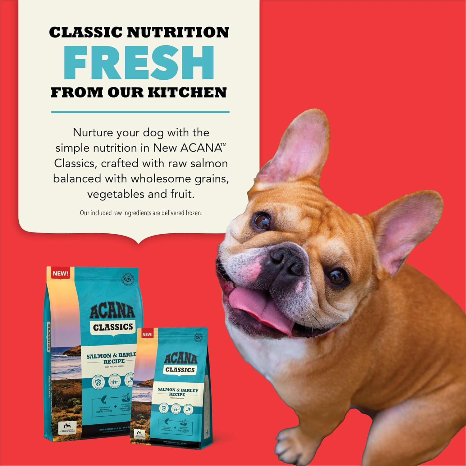 ACANA™ Classics Dog Food Salmon & Barley Recipe Dry Dog Food, 4lb : Pet Supplies