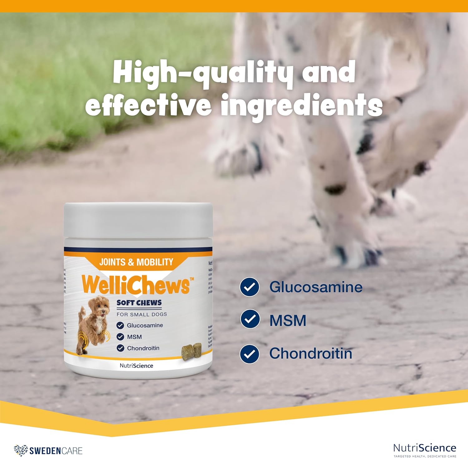 Wellichews Glucosamine for Medium & Large Dogs | Dog Joint Supplement with Glucosamine, Chrondroitin & MSM - Inflammatory Pain Relief Soft Chews for Hip & Joints - 60 Soft Chews :Pet Supplies