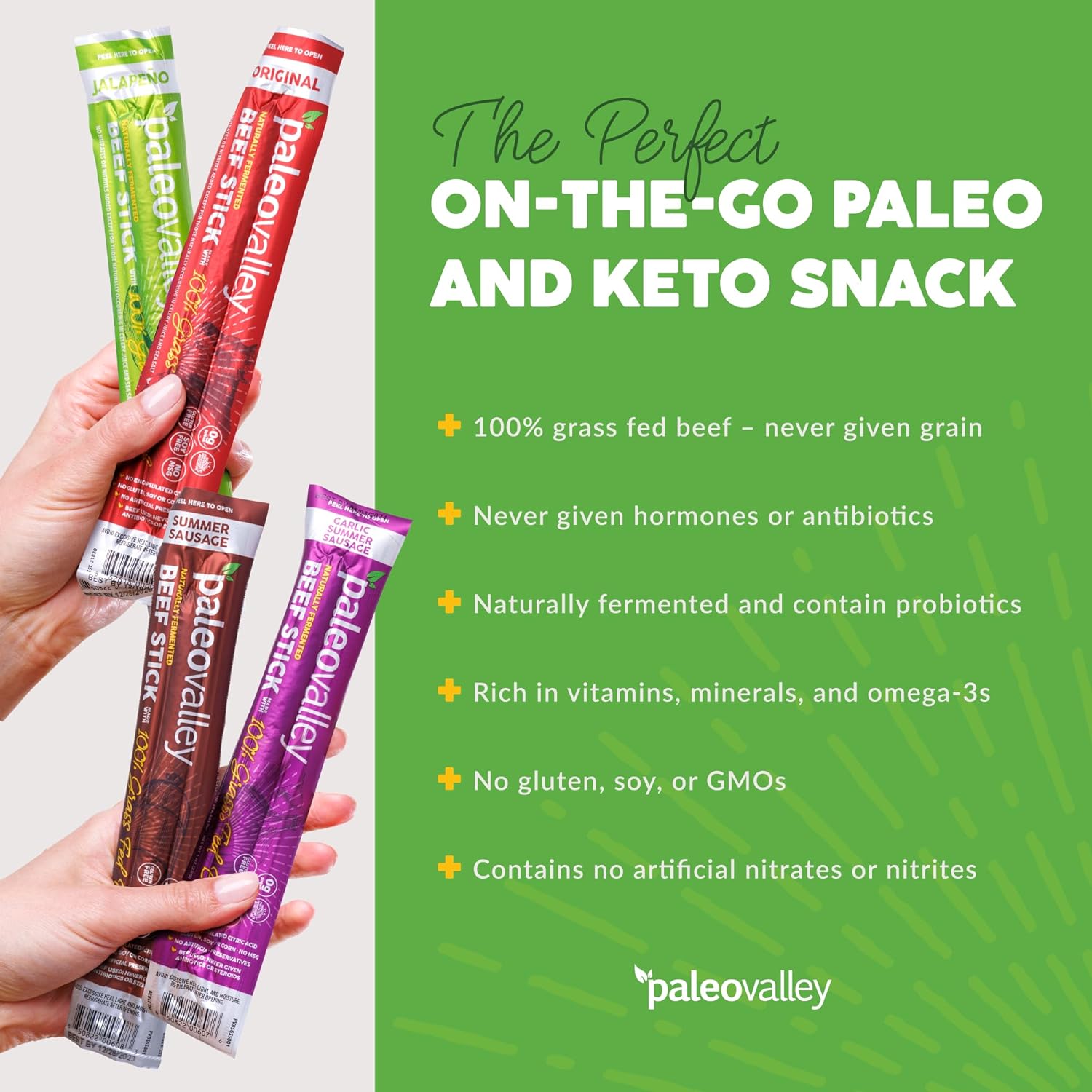 Paleovalley 100% Grass Fed Beef Sticks - Delicious Gluten Free Beef Snack - High Protein Keto Friendly, 40 Count Variety Pack : Grocery & Gourmet Food