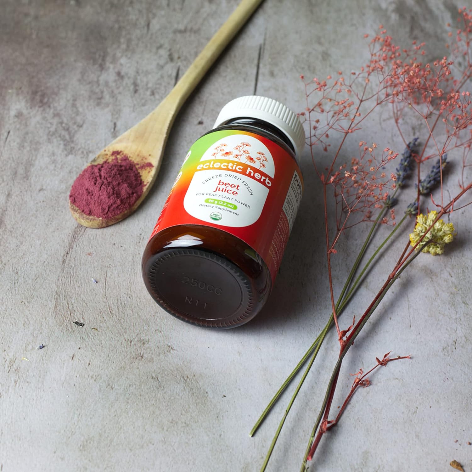 ECLECTIC INSTITUTE Raw Fresh Freeze-Dried Beet Juice Powder | 3.2 oz : Health & Household