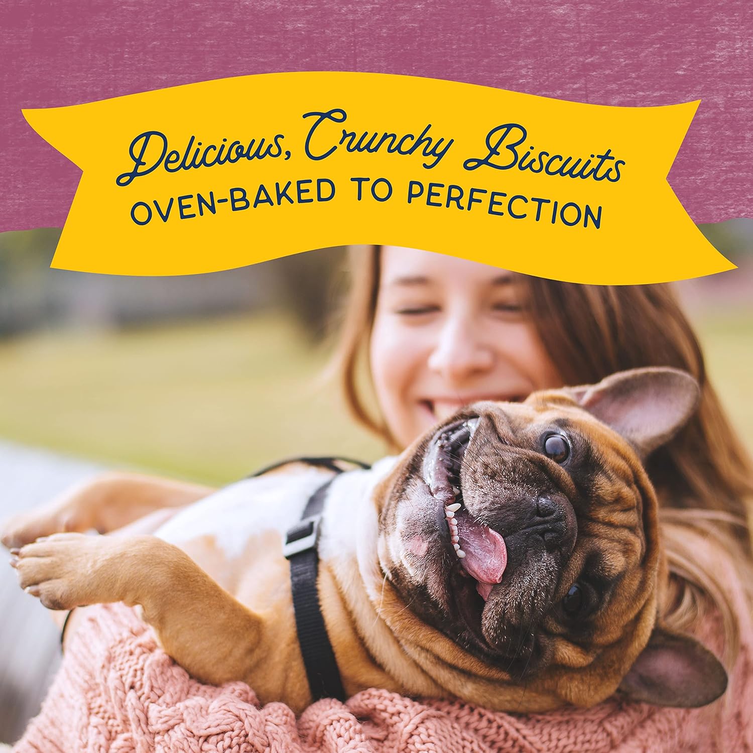 Natural Balance Limited Ingredient Rewards Crunchy Biscuits, Grain-Free Dog Treats for Adult Dogs of All Breeds, Venison Recipe, 14 Ounce (Pack of 1) : Pet Treat Biscuits : Pet Supplies