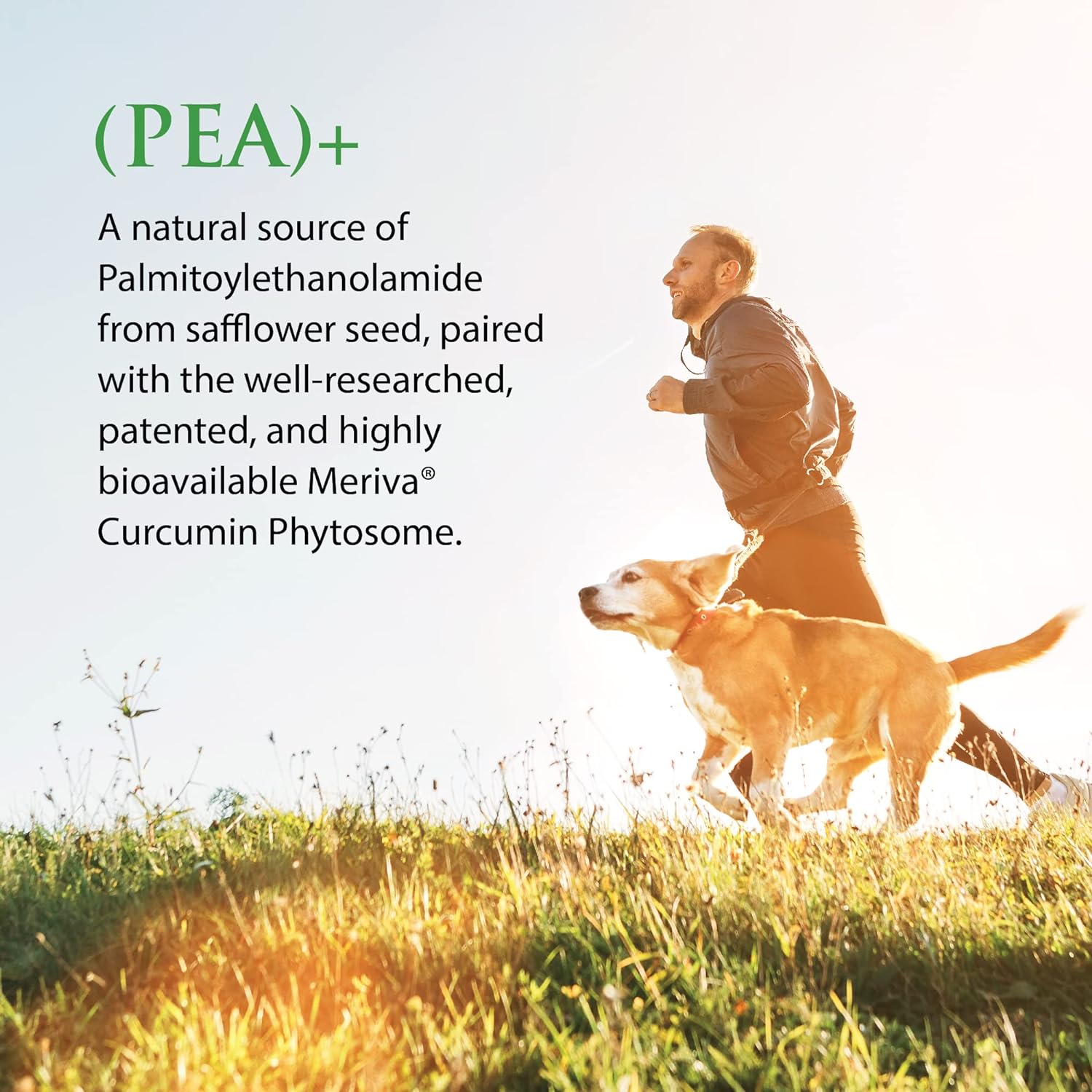 Enzyme Science (Pea+, 60 Capsules All-Natural Meriva Curcumin Supplement for Physiological Support Helps Support Nervous, Immune, & Muscular Systems : Everything Else