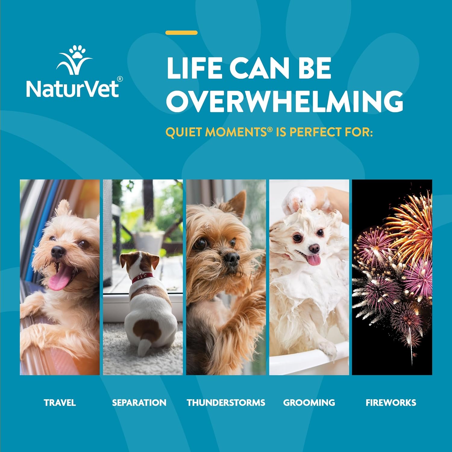 Naturvet Quiet Moments Calming Aid Dog Supplement – Helps Promote Relaxation, Reduce Stress, Storm Anxiety, Motion Sickness For Dogs – Tasty Pet Soft Chews With Melatonin – 65 Ct