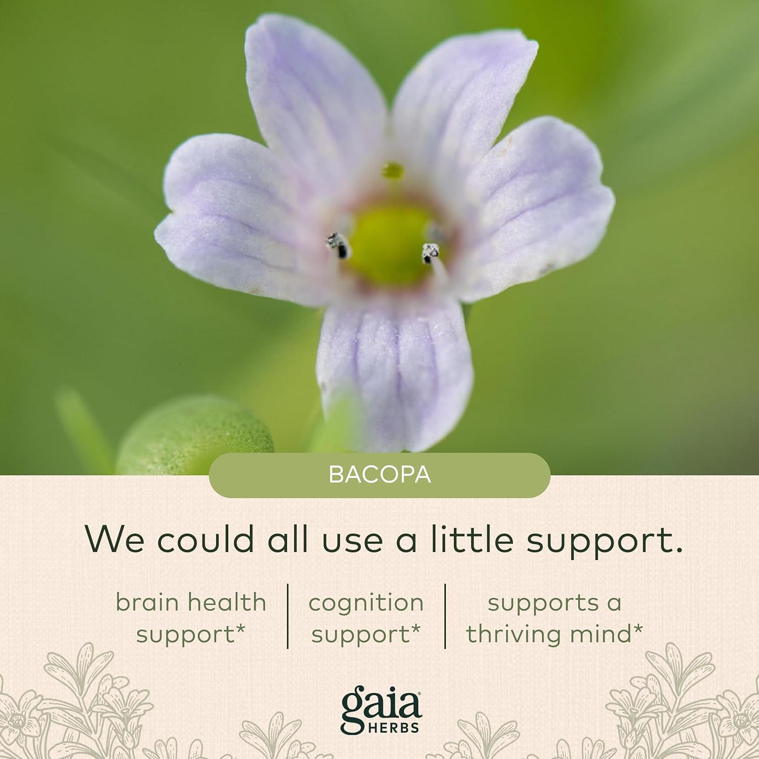 Gaia Herbs Bacopa - Brain and Cognitive Support Herbal Supplement - Made with Bacopa (Bacopa Monnieri) to Help Support a Thriving Mind - 60 Vegan Liquid Phyto-Capsules (Up to 60-Day Supply) : Health & Household