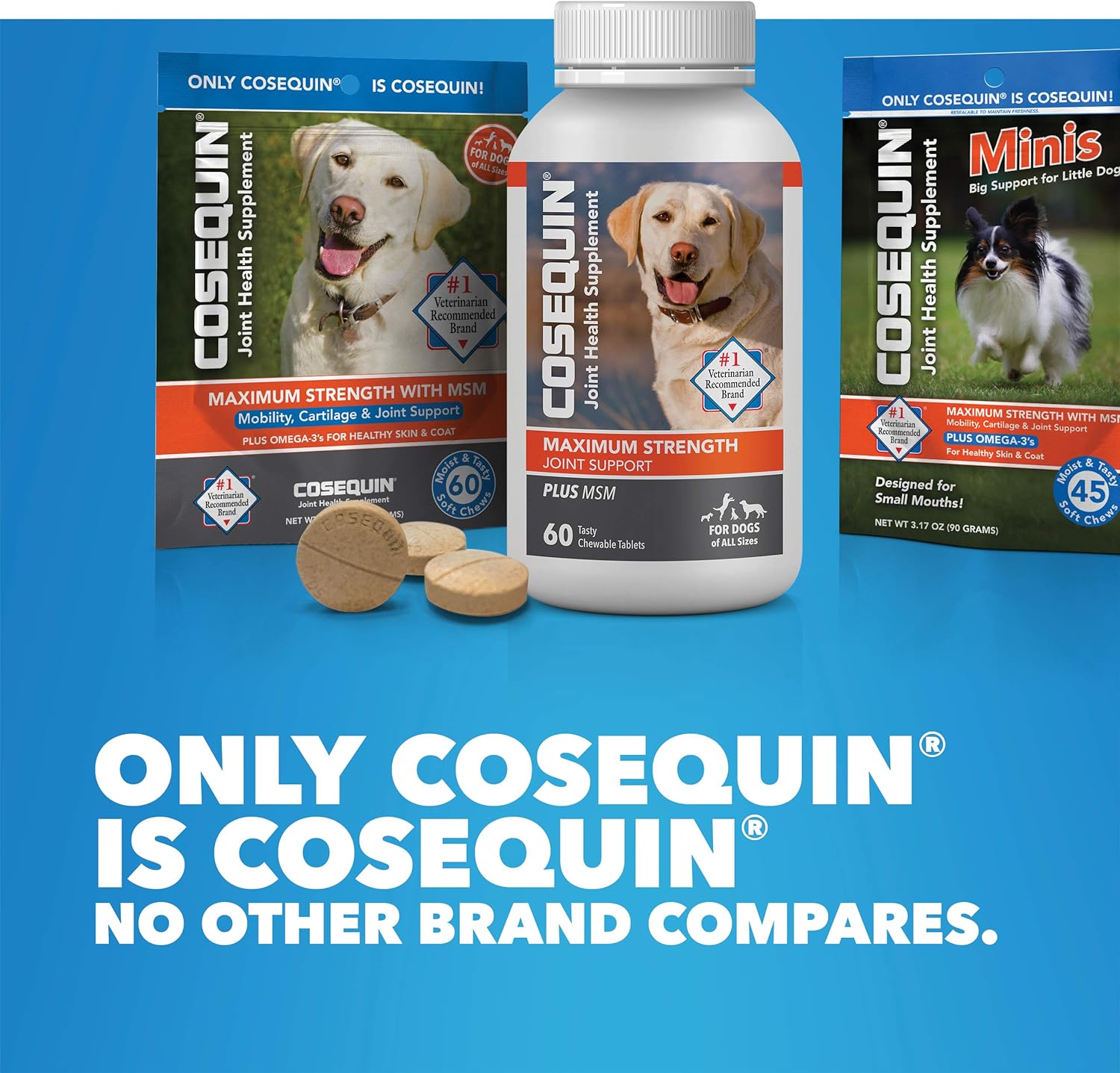Cosequin Joint Health Supplement for Dogs - With Glucosamine, Chondroitin, MSM, and Omega-3's, 120 Soft Chews : Pet Supplies