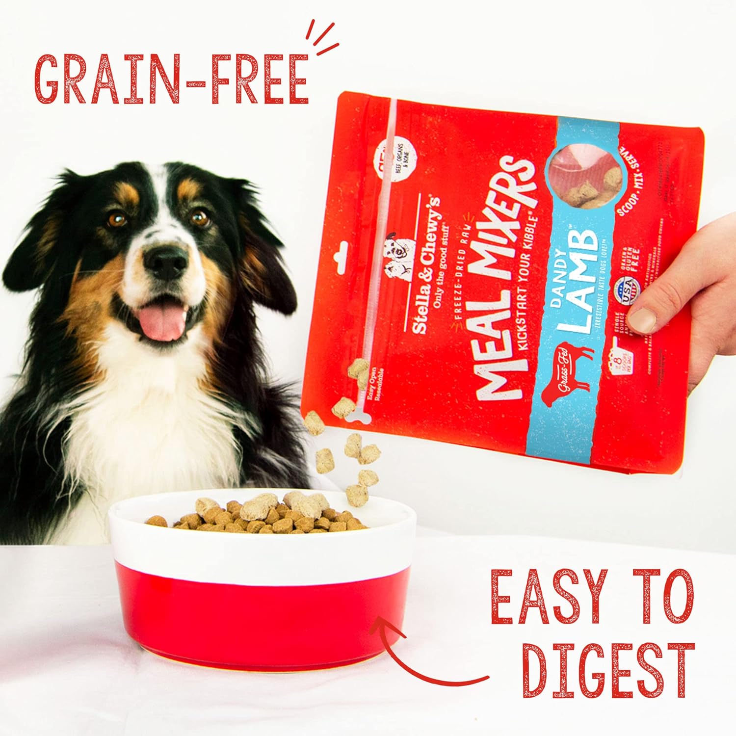 Stella & Chewy's Freeze Dried Raw Dandy Lamb Meal Mixer – Dog Food Topper for Small & Large Breeds – Grain Free, Protein Rich Recipe – 35 oz Bag
