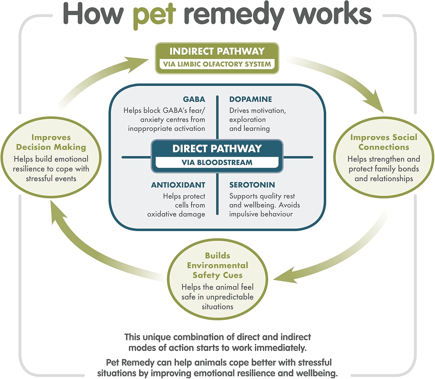 Pet Remedy Party Sesaon Survival Kit - Plug Diffuser, Spray, Calming Wipes : Amazon.co.uk: Pet Supplies