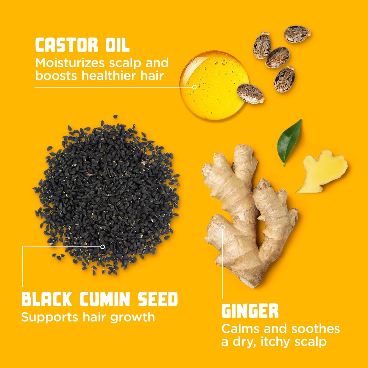 Carol's Daughter Goddess Strength True Stretch Defining Hair Cream For Wavy, Coily and Curly Hair, Curl Defining Cream with Castor Oil for Weak Hair, 6.8 Fl Oz : Beauty & Personal Care