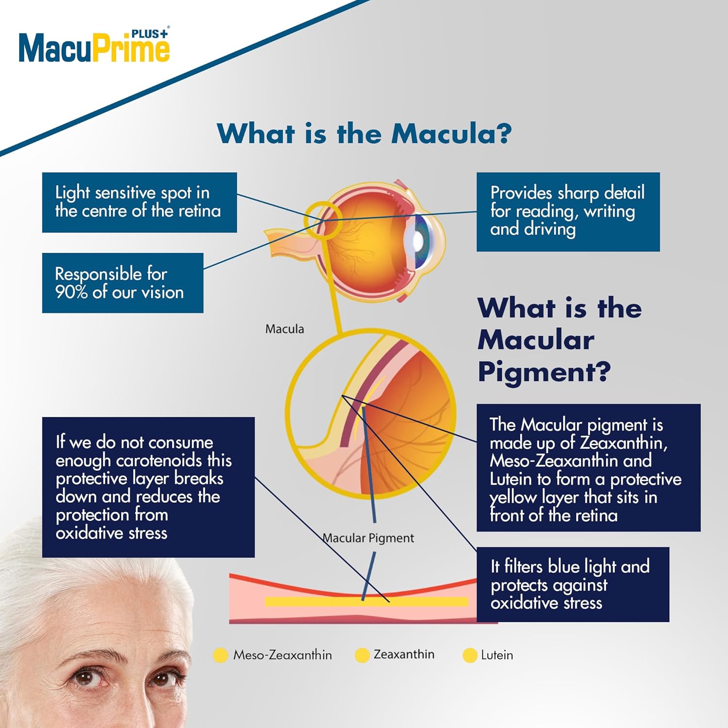 MacuPrime Plus+ Eye Health Supplements – AREDS2 Food Supplement Helps Maintain Normal Vision – Lutein, Meso-Zeaxanthin & Zeaxanthin, 120 Capsules – 1 Month Supply : Amazon.co.uk: Health & Personal Care