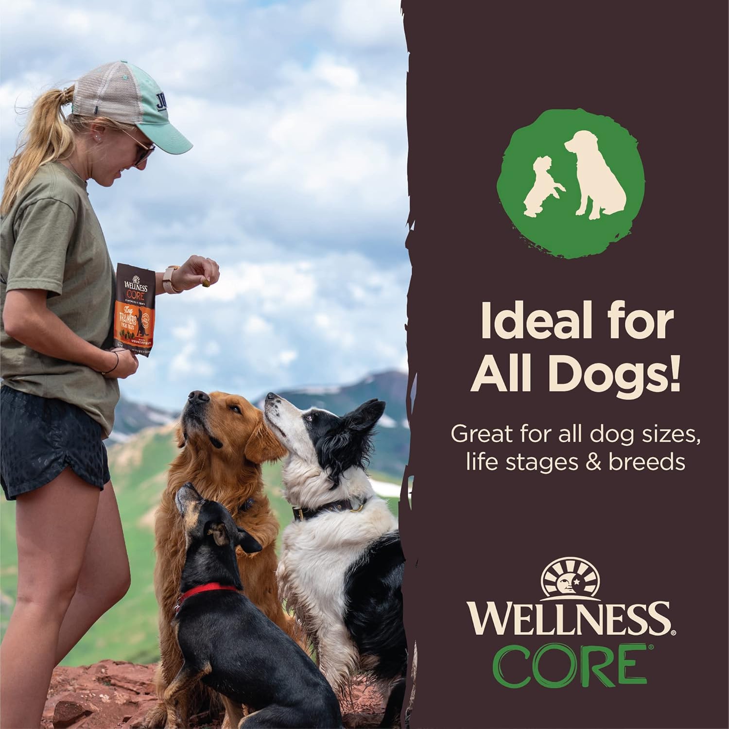 Wellness CORE Soft Tiny Trainers (Previously Petite Treats), Natural Grain-Free Dog Treats for Training, Made with Real Meat, No Artificial Flavors (Lamb & Apple, 6 Ounce Bag) : Pet Supplies