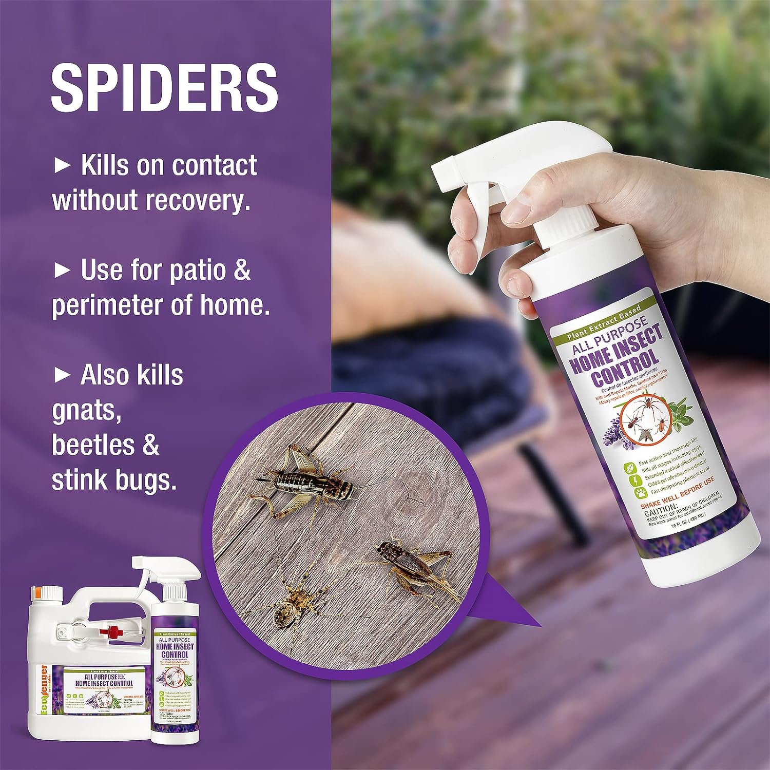 Ecovenger By Ecoraider All Purpose Insect Control 16 Oz, Fleas, Fruit Flies, Gnats, Moths, Roaches, Spiders,Roaches. Fast Kill, Lasting Prevention, Kill Eggs, Plant Extract Based & Non-Toxic