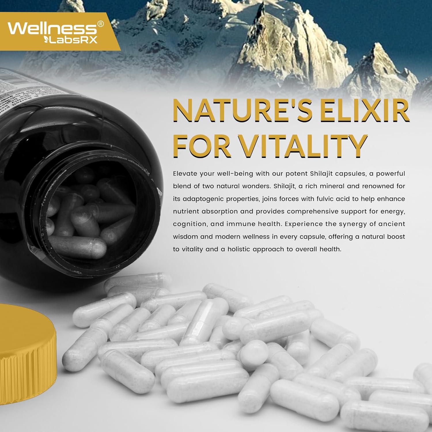 Himalayan Shilajit Capsules For Men 120 Count - 1500Mg - Shilajit For Men, Pure Shilajeet For Women With Naturally Occuring Fulvic Acid - Shilajet Supplement For Enhanced Energy And Immune Support