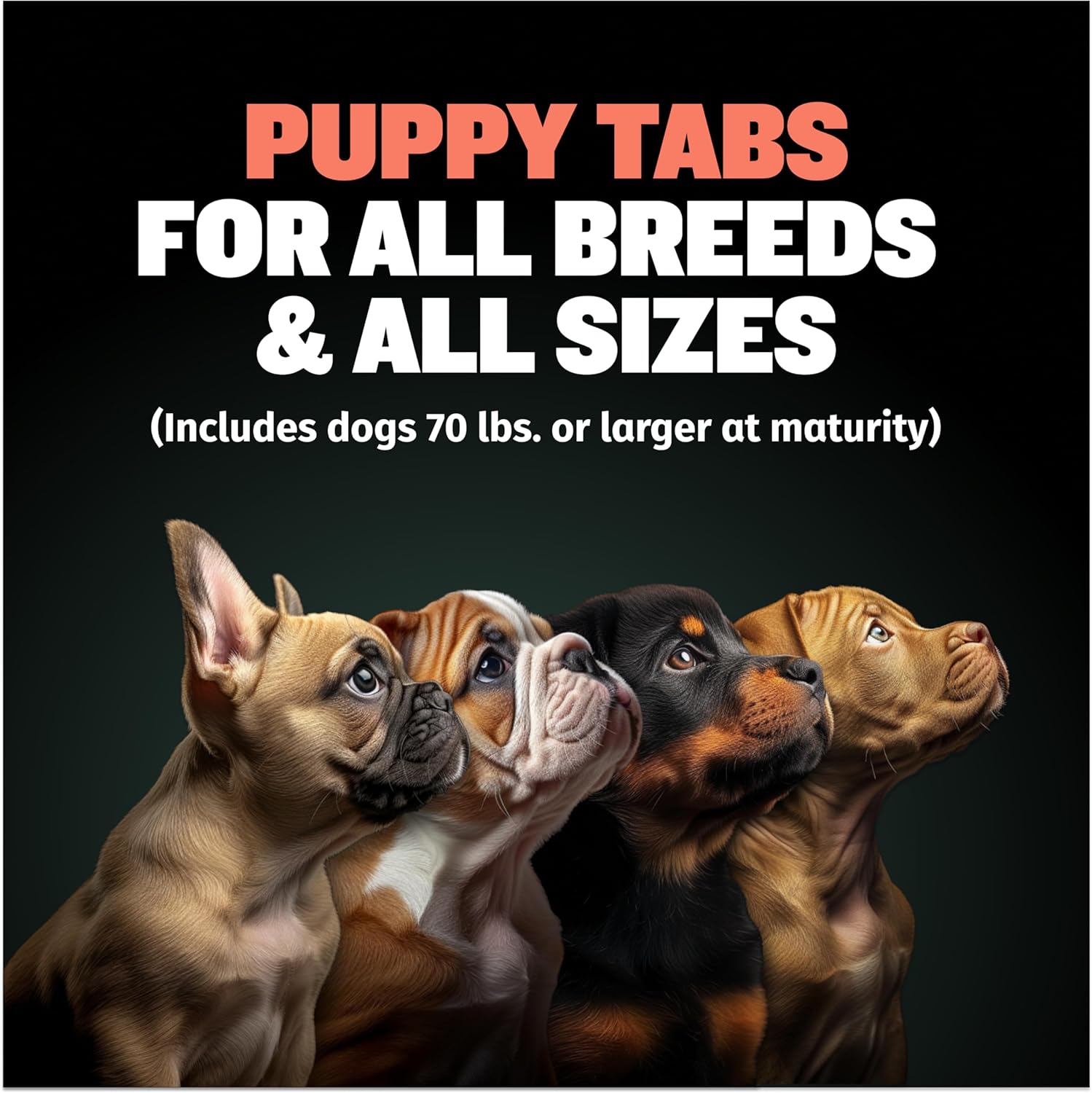 Bully Max Complete Puppy Growth Kit - 2lbs Wet Puppy Food & 2-in-1 Puppy Vitamins 30 Chewable Tabs Bundle - Healthy Development & Strong Muscles for Small & Large Breed Puppies : Pet Supplies