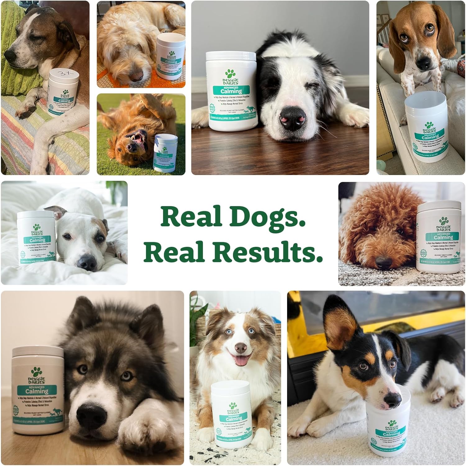 Doggie Dailies Calming Chews for Dogs, 225 Soft Chews, Melatonin for Dogs with Chamomile to Help Manage Stress Relief, Calm & Relaxation During Thunderstorms, Fireworks, Travel, & Separation : Pet Supplies