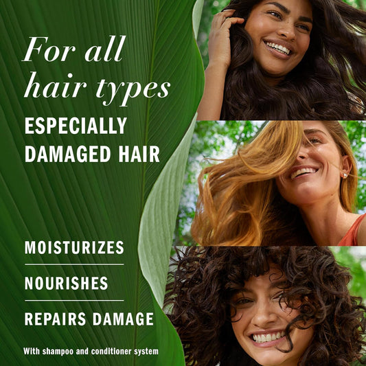 Herbal Essences Argan Oil Of Morocco Shampoo & Conditioner Set, Repair & Smooth, Kew Endorsed, Fizzy Citrus Scent, Paraben-Free, Safe For Color-Treated Hair, Ph-Balanced, 20.2 Fl Oz Each, 2 Pack