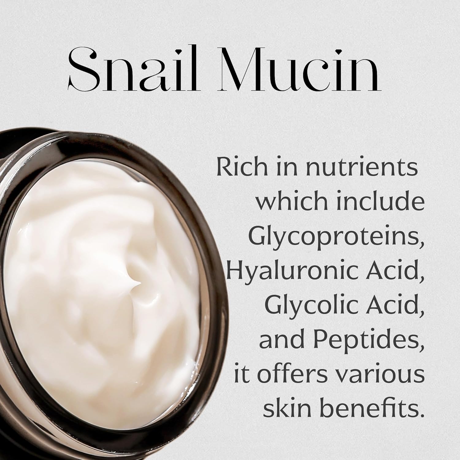 Mizon Black Snail All In One Cream Intensive Korean Skin Care Facial Moisturizing Snail Mucin Extract Travel Size (1.18 Fl Oz) : Beauty & Personal Care