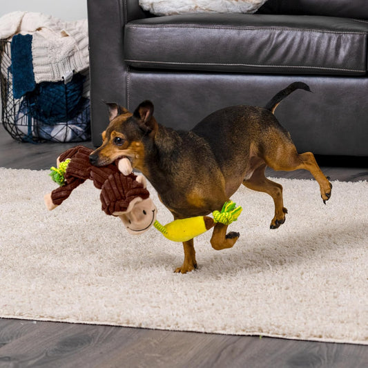 Pet Factory Tug & Chomp Squeaky Plush Dog Toy, Randomly Selected - Monkey Or Donkey, One Size