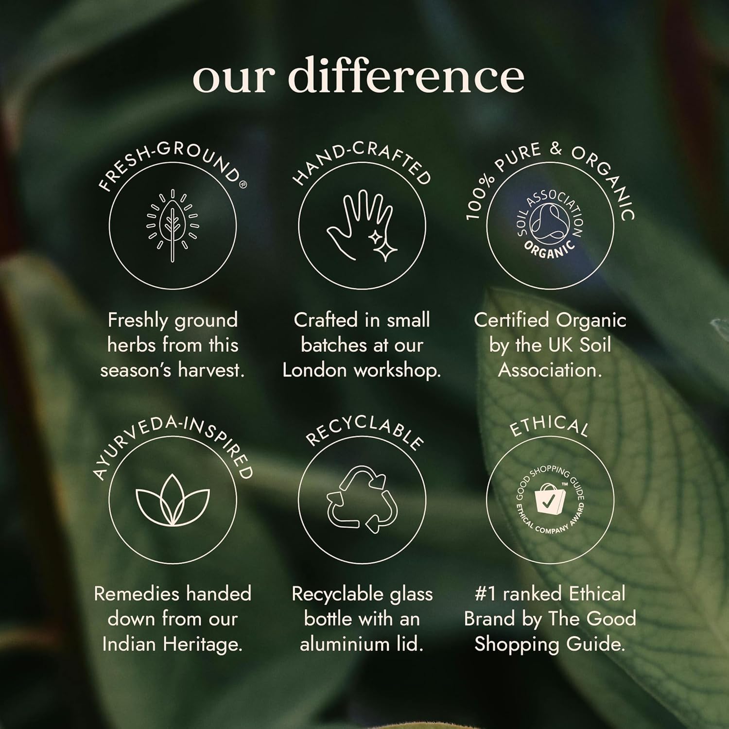 Fushi Organic Siberian Ginseng Capsules, 60 Caps | Fresh-Ground Whole Food | Strengthens Immune System, Purifies Blood, Stimulates Digestion | Ethical & Vegan | Manufactured in the UK : Amazon.co.uk: Health & Personal Care